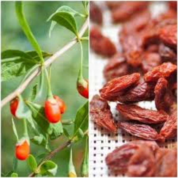 CREMA GOJI